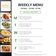Tiffinly Veg Healthy Meals
