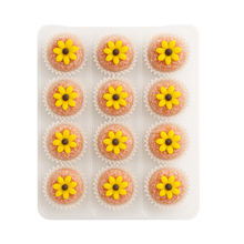 S.Motiram × TiffinStash <br> Raksha Bandhan Sweets Collection