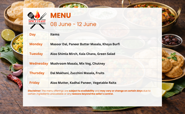 Spicy Feast Premium Veg Tiffin Service